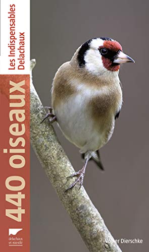 440 OISEAUX