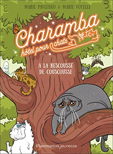 A LA RESCOUSSE DE COUSCOUSSE