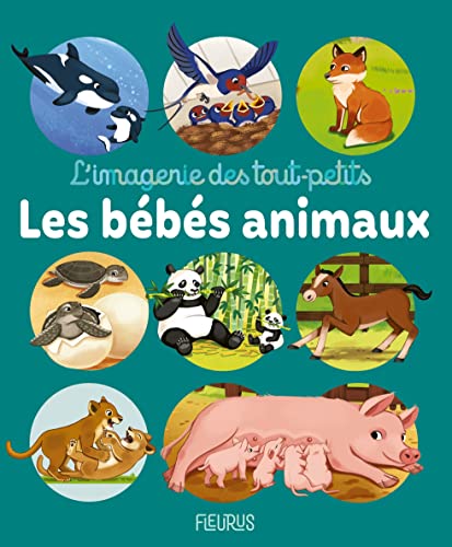 BÉBÉS ANIMAUX (LES)