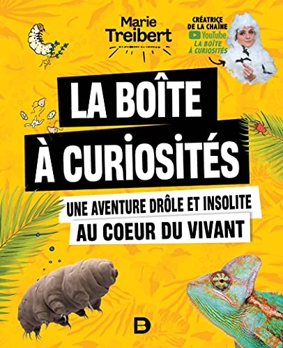 BOÎTE À CURIOSITÉS (LA)