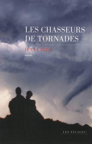 CHASSEURS DE TORNADES (LES)