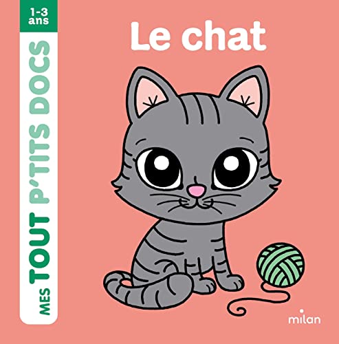 CHAT (LE)