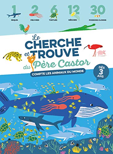 CHERCHE ET TROUVE DU PÈRE CASTOR (LE)