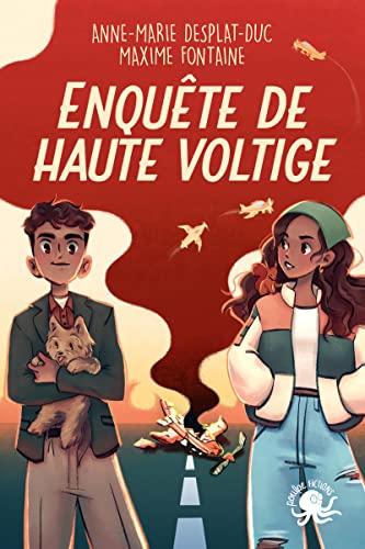 ENQUÊTE DE HAUTE VOLTIGE