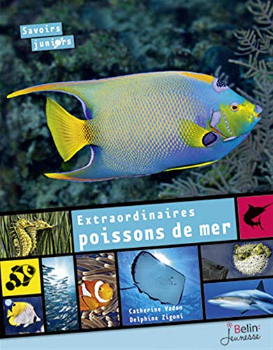 EXTRAORDINAIRES POISSONS DE MER