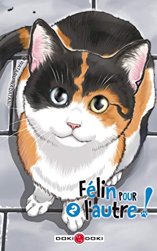 FÉLIN POUR L'AUTRE !
