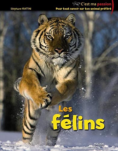 FÉLINS (LES)
