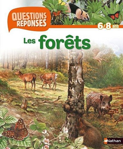 FORÊTS (LES)