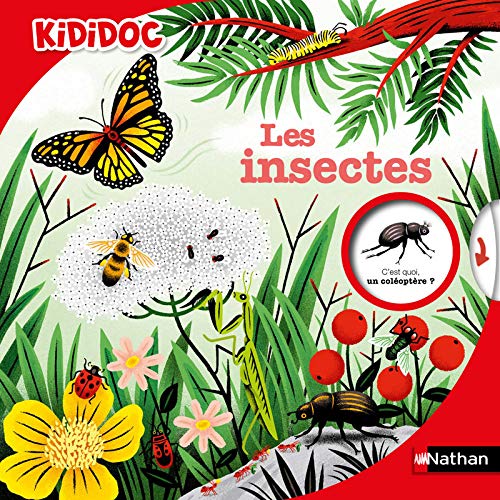 INSECTES (LES)