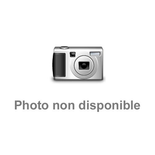 L ENVIRONNEMENT
