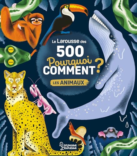 LAROUSSE DES 500 POURQUOI COMMENT ? (LE)