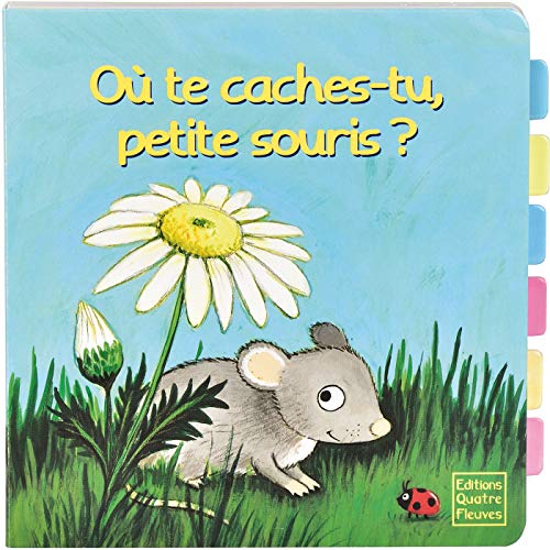 OÙ TE CACHES-TU, PETITE SOURIS ?
