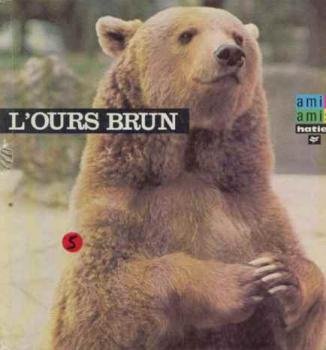 OURS BRUN (L')