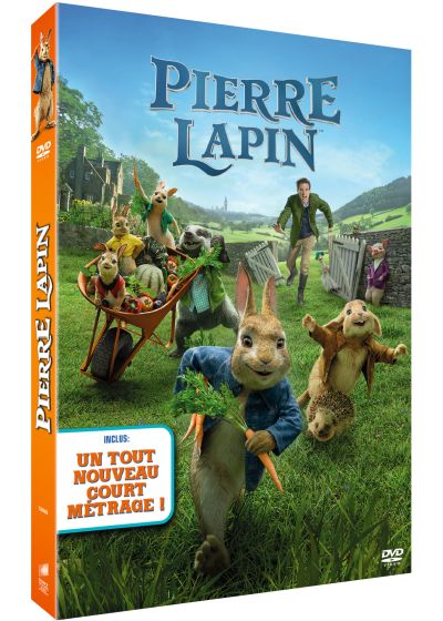 PIERRE LAPIN
