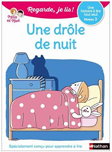 UNE DRÔLE DE NUIT