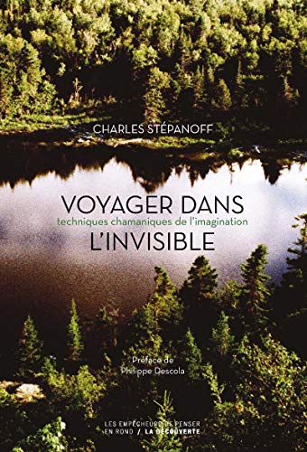 VOYAGER DANS L'INVISIBLE